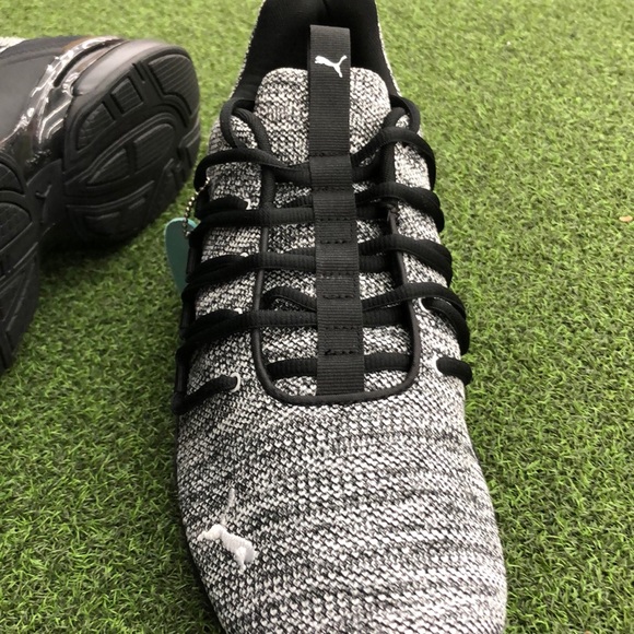 Adidas - Picture 3 of 3